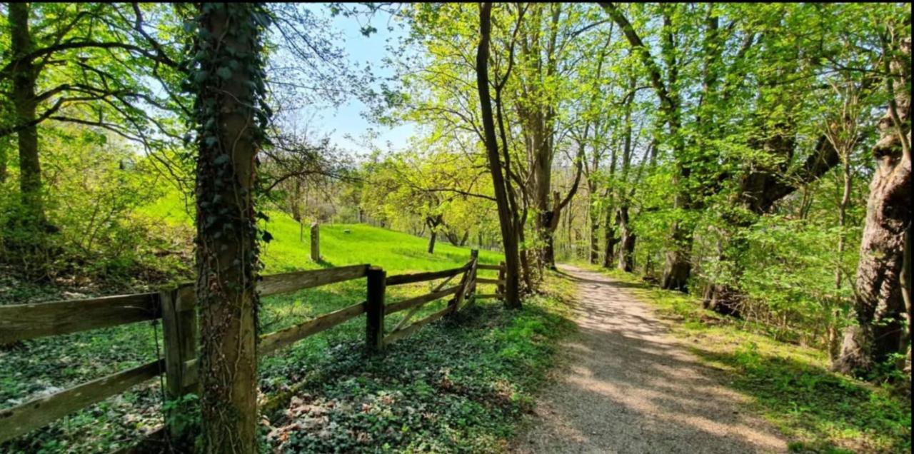 Fraenkische Landherberge, Hotel Garni Sesslach エクステリア 写真